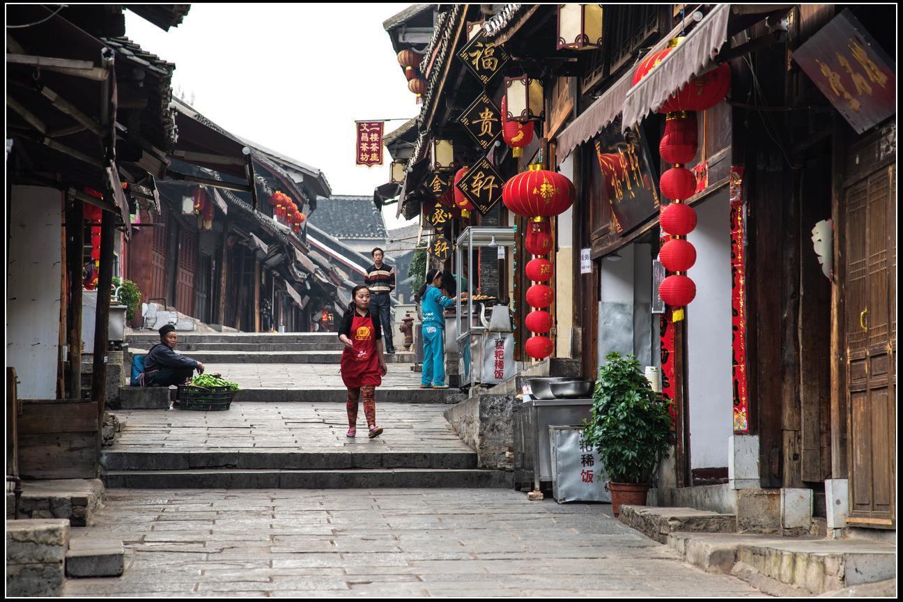 阴暗森林